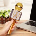 WS-858 Wireless Karaoke Microphone and Hi-Fi Speaker Bluetooth Mic Speakers