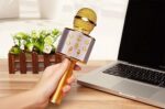 WS-858 Wireless Karaoke Microphone and Hi-Fi Speaker Bluetooth Mic Speakers
